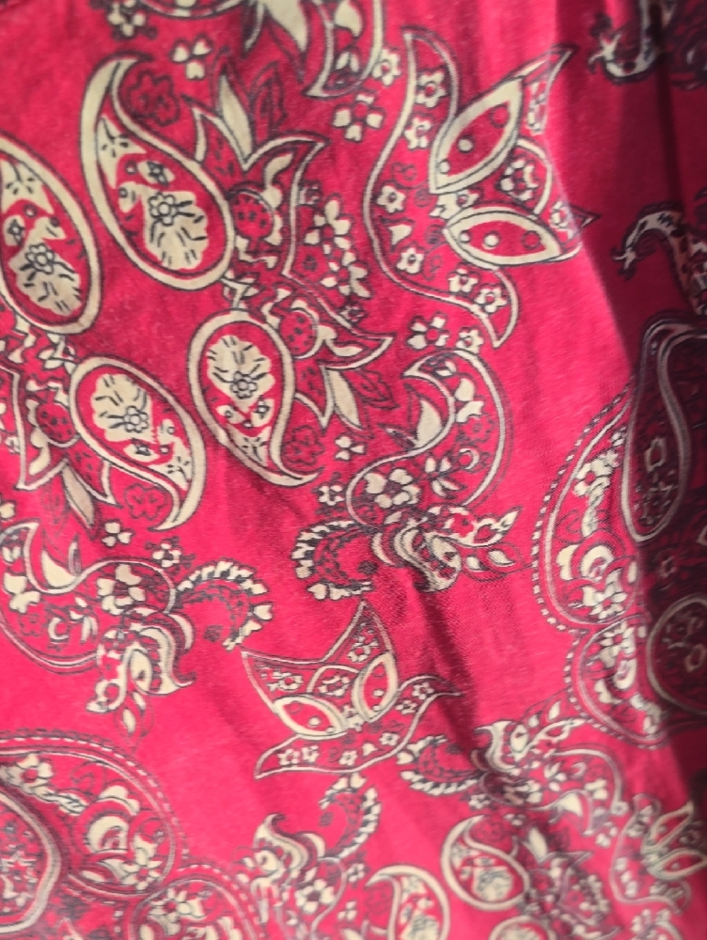 Tizzie Red Paisley Button-Down Shirt - Picture 7 of 7